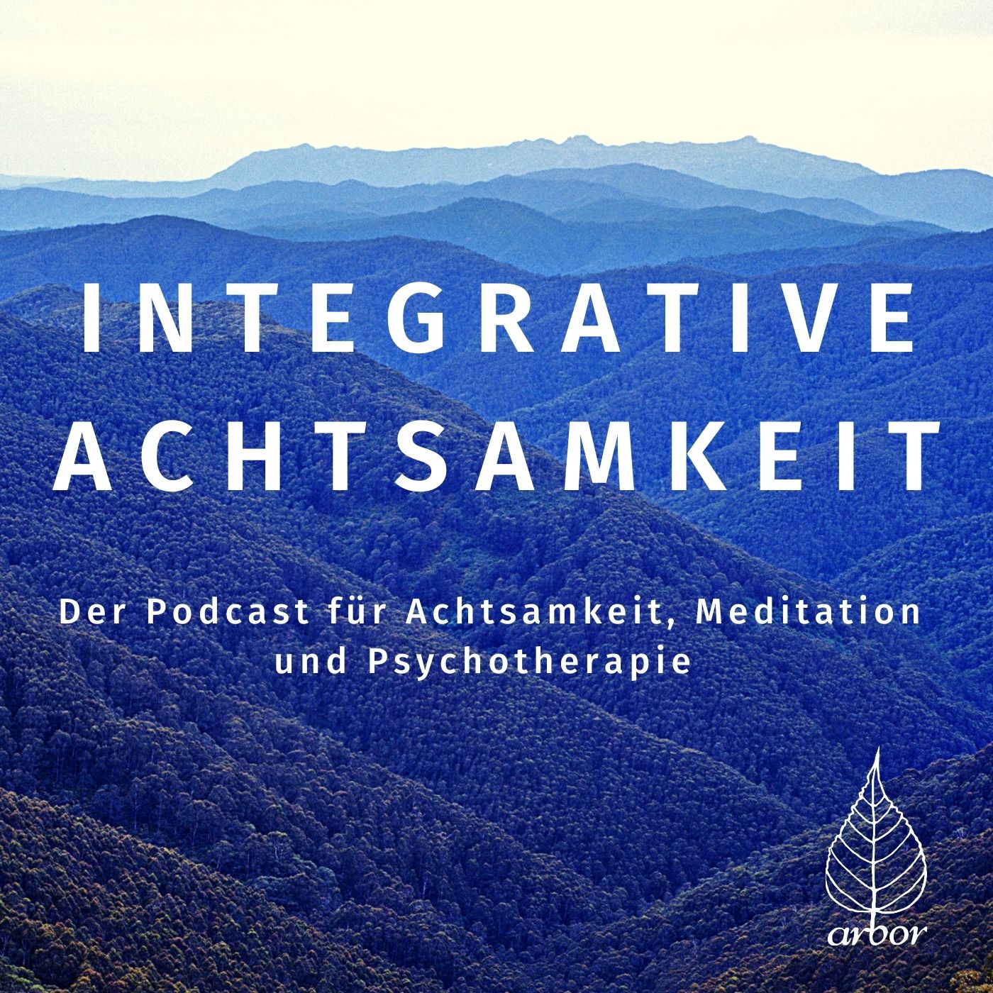 integrative achtasamkeit